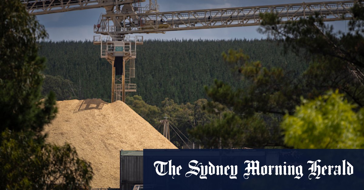Australia’s last white paper mill sues Victoria for $402 million over lost jobs, closure