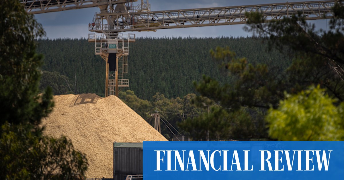 Opal Australian Paper dispute exposes 'legal nightmare' under Albanese government's labour hire laws - Vimarsana News