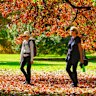 Walkers enjoy the warm weather – and the autumn leaves – at the Botanic Gardens in Melbourne. 