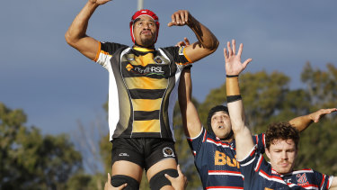 Penrith Emus will play no further part in the Shute Shield, this year or next.