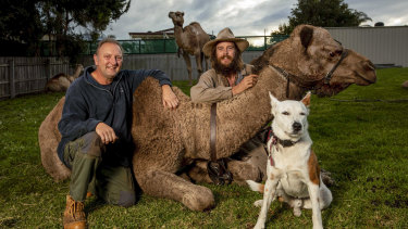 Expeditioner John Elliott (right) with his camel train and dog Bruski in Lakes Entrance catches up with camel trainer Russell Osborne.