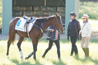 Glen Boss and Gai Waterhouse chat about Sir Lucan at Werribee on Sunday.