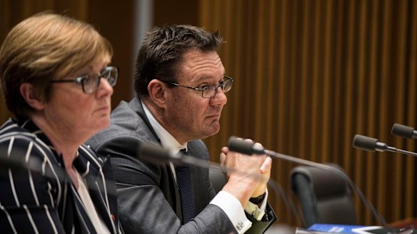 CEO of the Criminal Intelligence Commission Michael Phelan appears before Senate estimates.