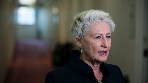 Kerryn Phelps says My Health Record could lead to a 'malpractice nightmare'. 