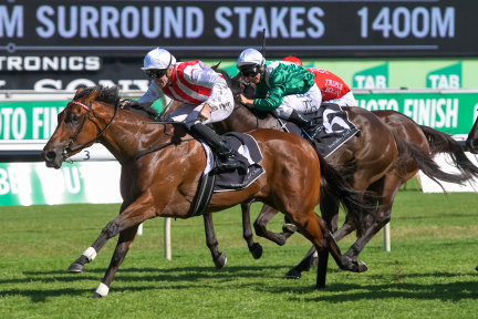 On the way back: Shoals wins the Surround Stakes at Randwick last year.