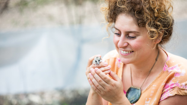 Researcher Emily Scicluna holds a fat-tailed dunnart.