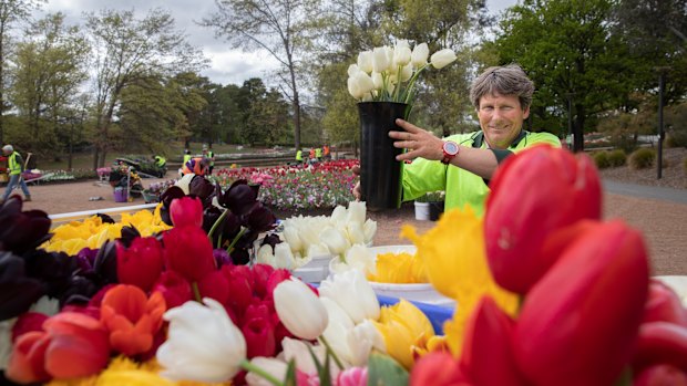 Floriade head gardener Andrew Forster loads a truck with flowers to be delivered to Canberra hospitals and nursing homes.