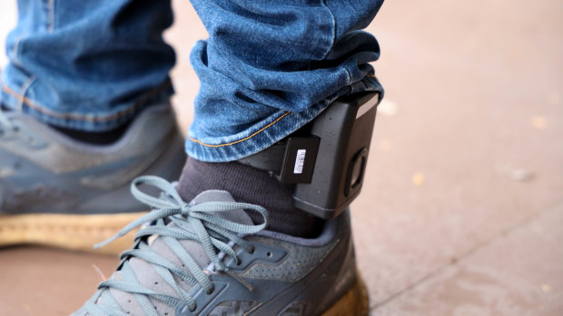 Up to 100 high-risk domestic violence offenders will now be subject to GPS tracking.