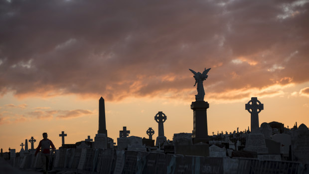 I love to walk  and think in Waverley cemetery.