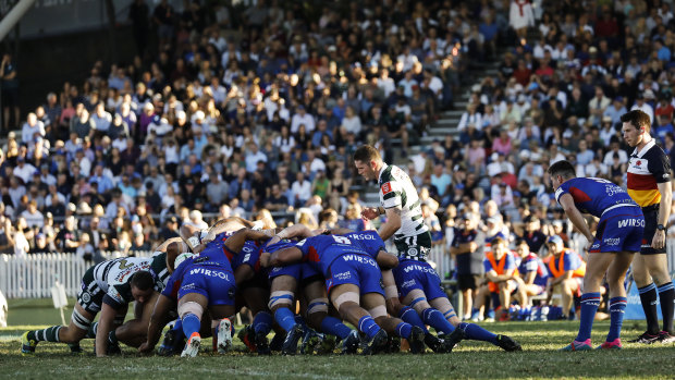 Manly in action against Warringah in last year's Shute Shield. 