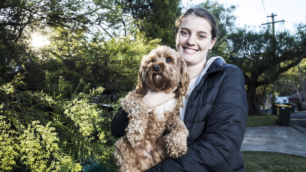 'Yellow dandruff': Ruby Shevlin and her dog Raffi with a wattle in full bloom at their Chatswood home ahead of National Wattle Day on September 1.