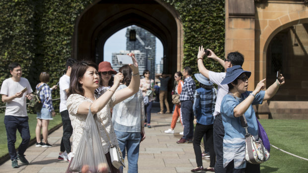 Chinese visitors in the main quadrangle at Sydney University earlier this year.