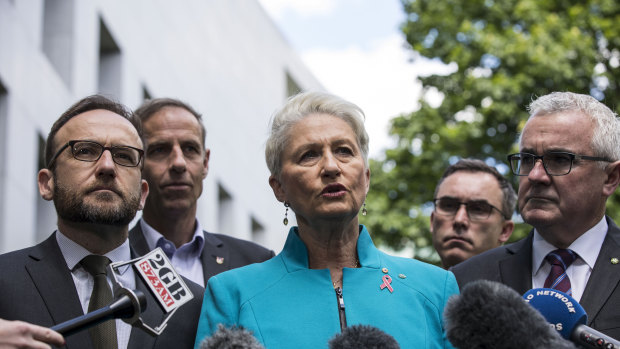 Dr Kerryn Phelps, centre, Senator Tim Storer, second right, and other crossbenchers discussing the medical transfer bill last year.