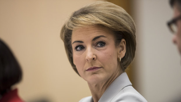 The AFP says Michaelia Cash did not provide what would be defined as a witness statement. 
