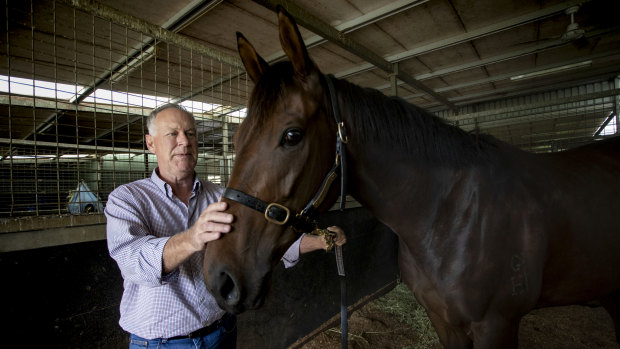 Owner Allan Endresz with Alligator Blood, which will join the Gai Waterhouse and Adrian Bott stable.