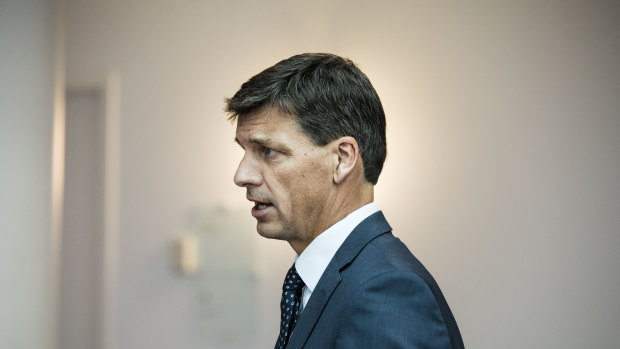 Angus Taylor threatens energy retailers with small twig.