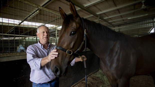 Owner Allan Endresz with Alligator Blood, which has joined the Gai Waterhouse and Adrian Bott stable.
