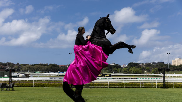 It was horse events at 50 paces in Sydney this week.