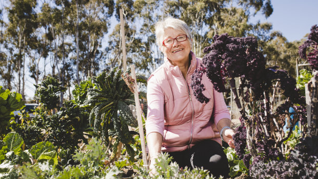Narelle McLean, of Mitchell Organic Growers Society, one of nine organisations that received a grant from the ACT government. 