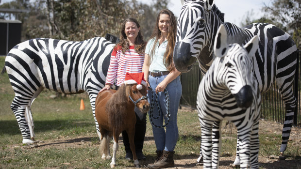 Nerida and Ellen  Winters with Maverick the therapy horse.
