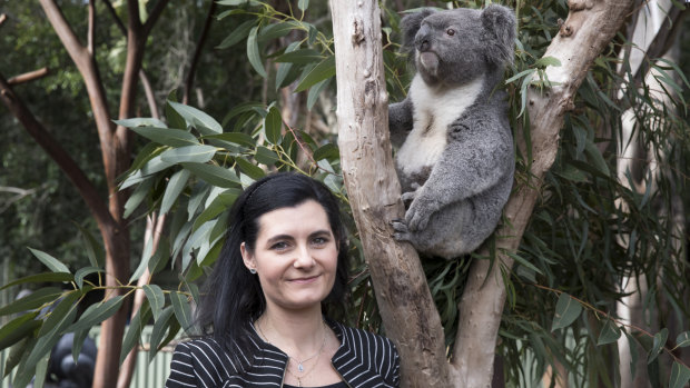 Professor Rebecca Johnson, who jointly led the research team that cracked the koala genome, with Archie at Featherdale Wildlife Park at Doonside.