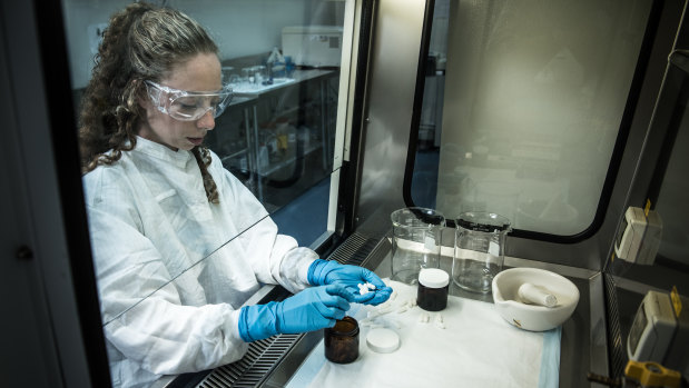 A lab technician at work at the Centre for Digestive Diseases. The centre manufactures faeces pills.