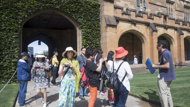 A tour guide takes a group of Chinese people for a tour of Sydney University in February. One in four University students in Australia are now Chinese.