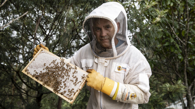 Andrew Leeds with his bees at home in Kenthurst.