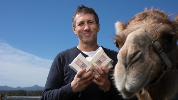 Summer Land Camels' Jeffrey Flood with one of farm's resident camels and some of the signature camel cheddar.