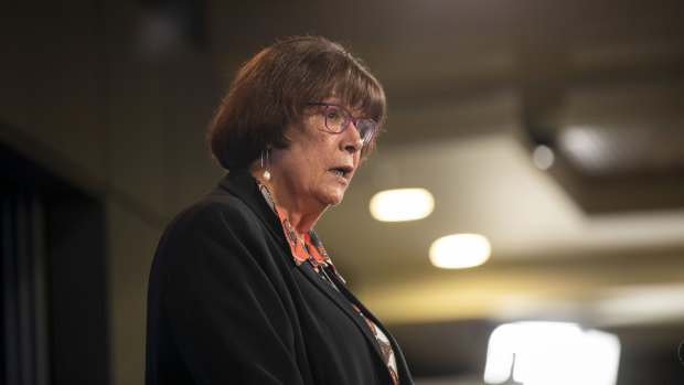 Pat Turner told the National Press Club final decision making on the Voice for Indigenous Australians "is to occur behind closed doors by government".