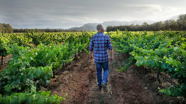 Andrew Thomas of Thomas Wines in the Hunter Valley.