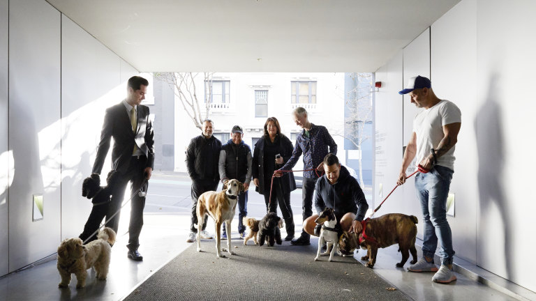 Spotlight Apartment Dogs Bring No Pets Policy To Heel