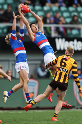 Towering presence: Sam Darcy.