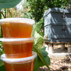 Honey produced from a backyard hive.