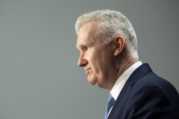 Employment and Workplace Relations Minister Tony Burke at a press conference in Canberra.