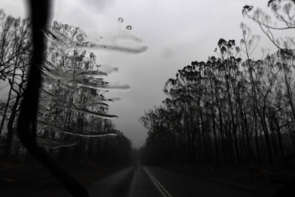 Rain falls last week on the burnt landscape lining Benalong Road, south of Nowra.