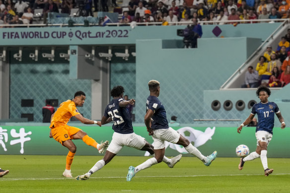Cody Gakpo of the Netherlands scores a goal.