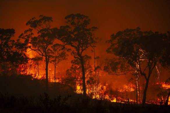 Bushfires have burnt though as much as 12 million hectares of Australia  this fire season - and climate scientists warn future impacts will likely rise even faster than temperatures.