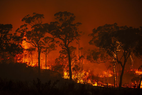 A fire burns through Mangrove Mountain in December.