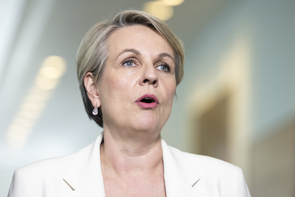 Environment Minister Tanya Plibersek.