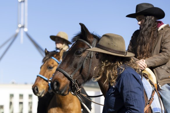 A rally calling for brumbies to be rehomed as a priority method of management outside Parliament House.
