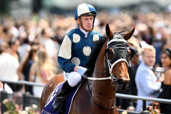 The Trent Busuttin and Nat Young-trained Muramasa has failed a Melbourne Cup vet test.
