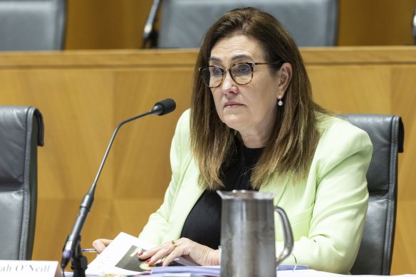 Senator Deborah O’Neill says it’s too soon to talk about a royal commission into the consulting sector. 