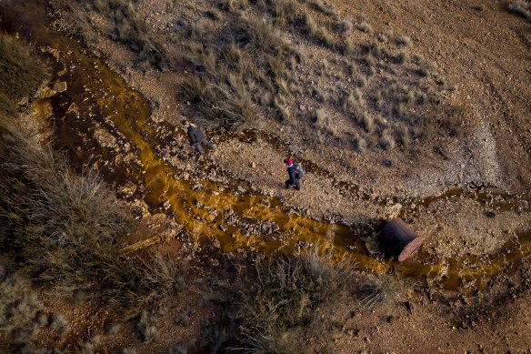 The Sunny Corner mine closed 100 years ago, but toxic water flows through the site, severely impacting any plants that grow.