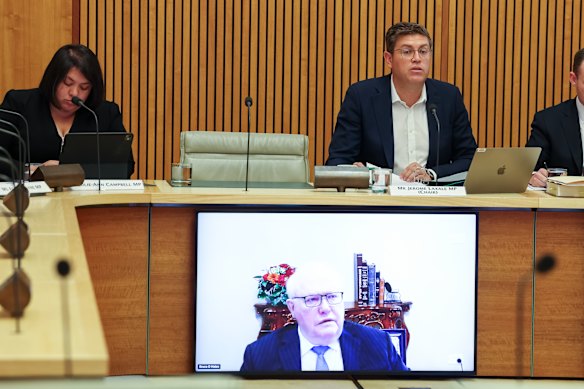Bruce Hales appearing at the inquiry via videolink.