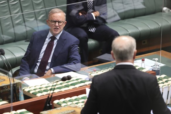 Opposition Leader Anthony Albanese has stared down the attacks this week from Prime Minister Scott Morrison.