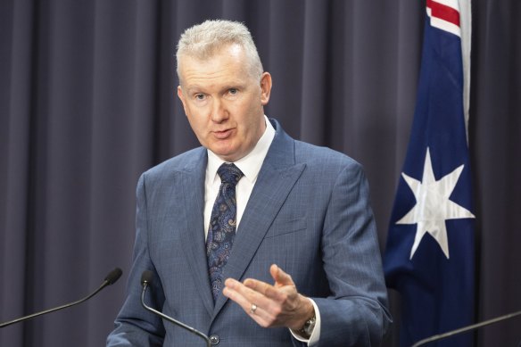 Workplace Relations Minister Tony Burke says the gig economy is growing “like a cancer”.