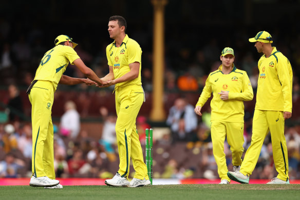 Josh Hazlewood picks up a wicket on his debut as skipper.