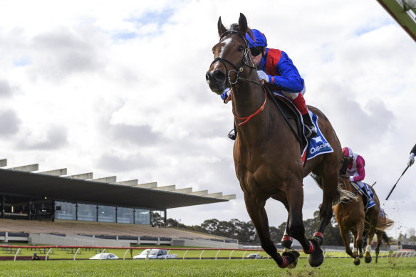 Cox Plate favourite Zaaki has drawn barrier six.