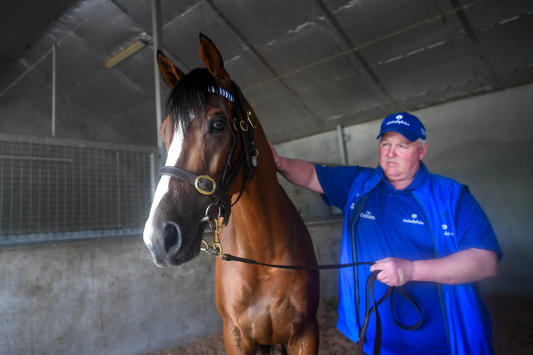 Fleming, in Godolphin blue, with Hartnell last year.